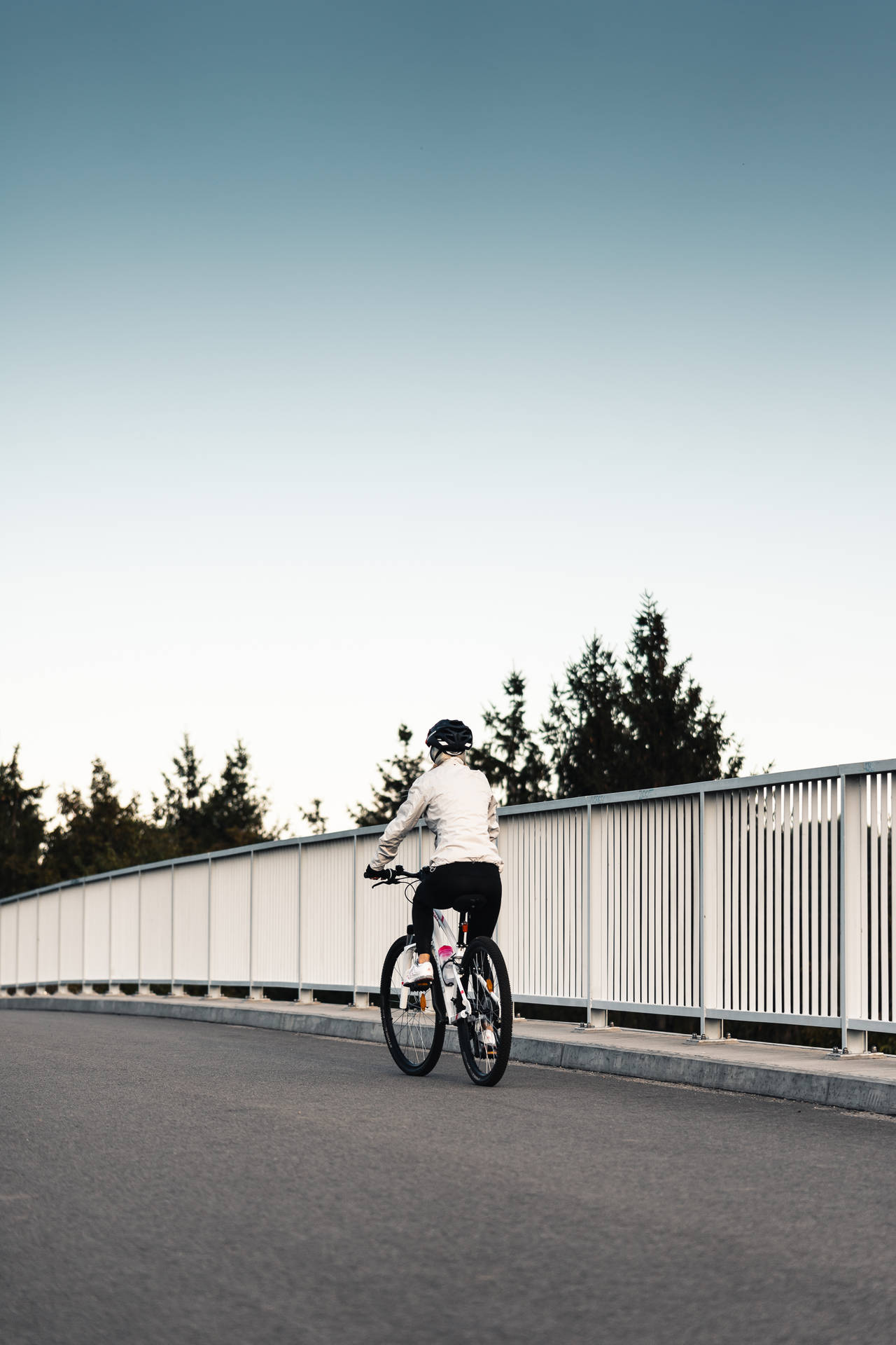 Bike Lover On A Bridge Background