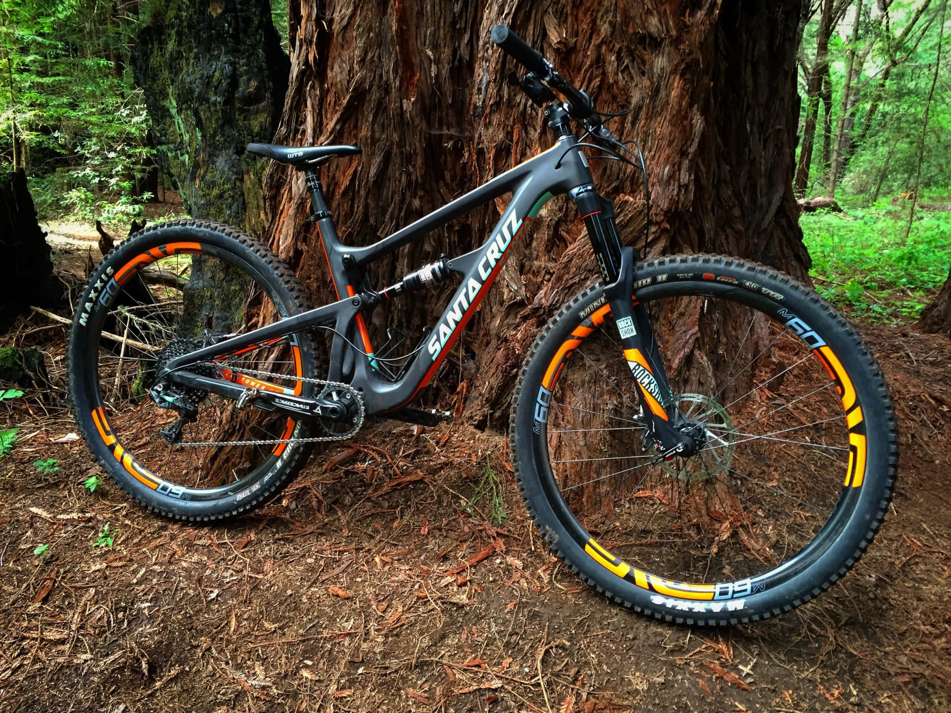 A Mountain Bike Leaning Against A Tree In The Woods