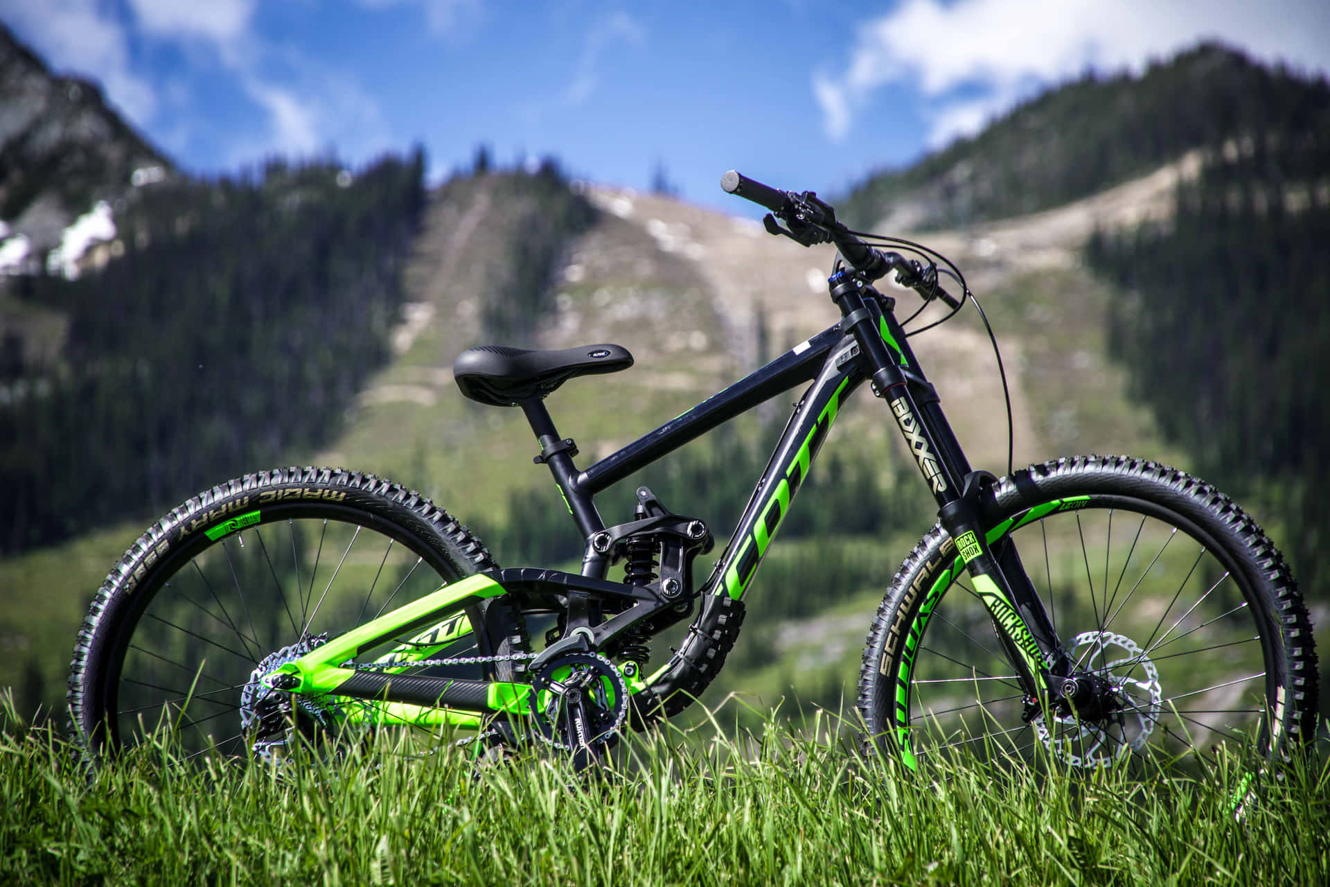 Energize Your Life With a Mountain Bike