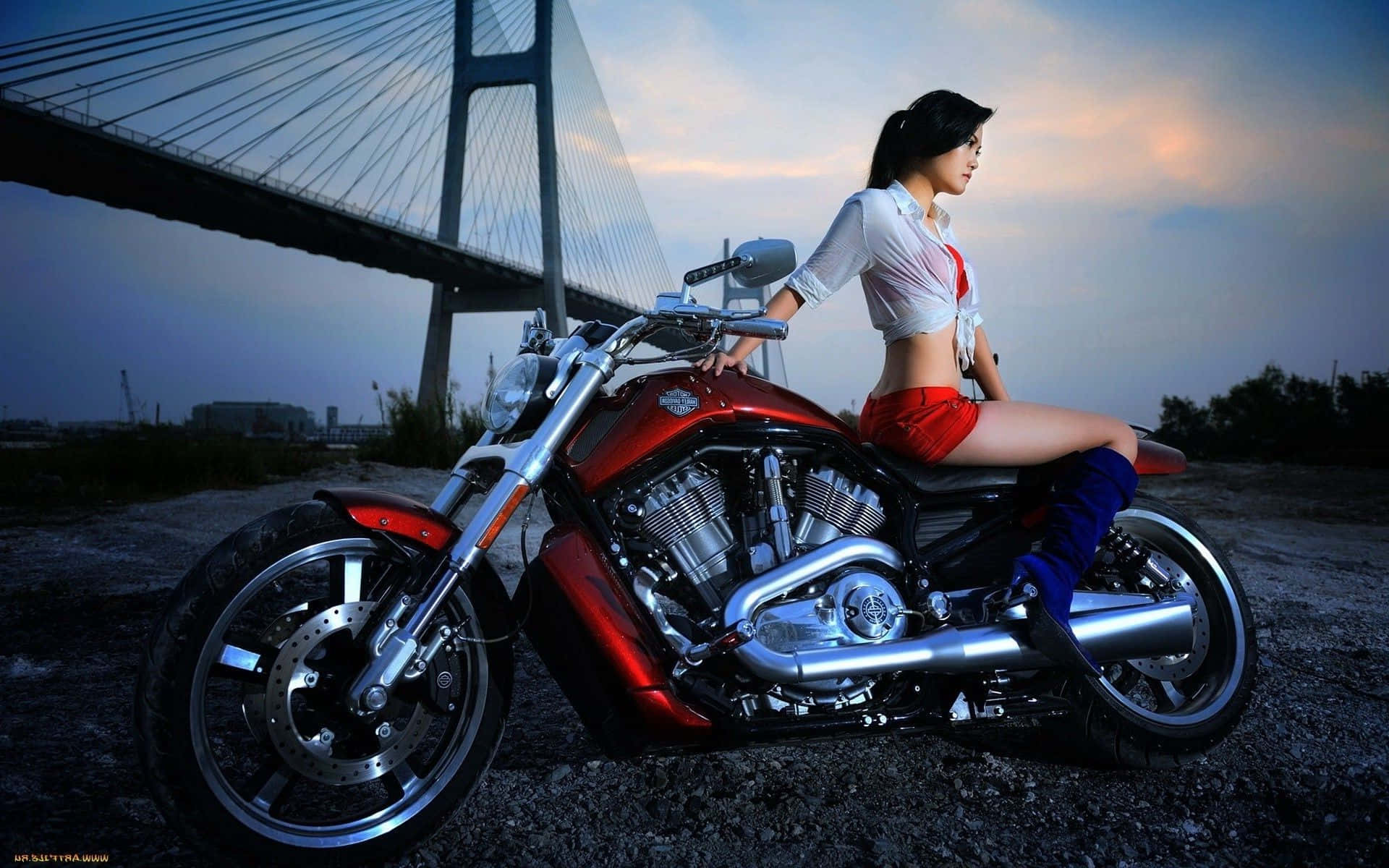 Großemotorrad Harley Davidson Biker Bilder