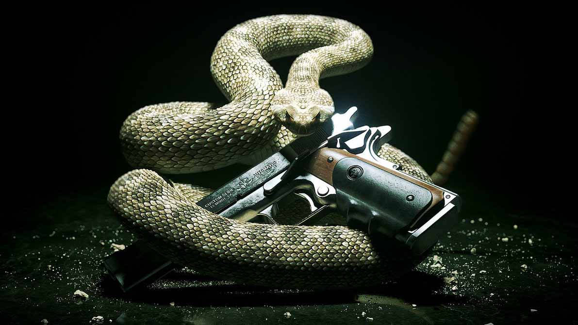 Bild Snake Med Gun Wallpaper