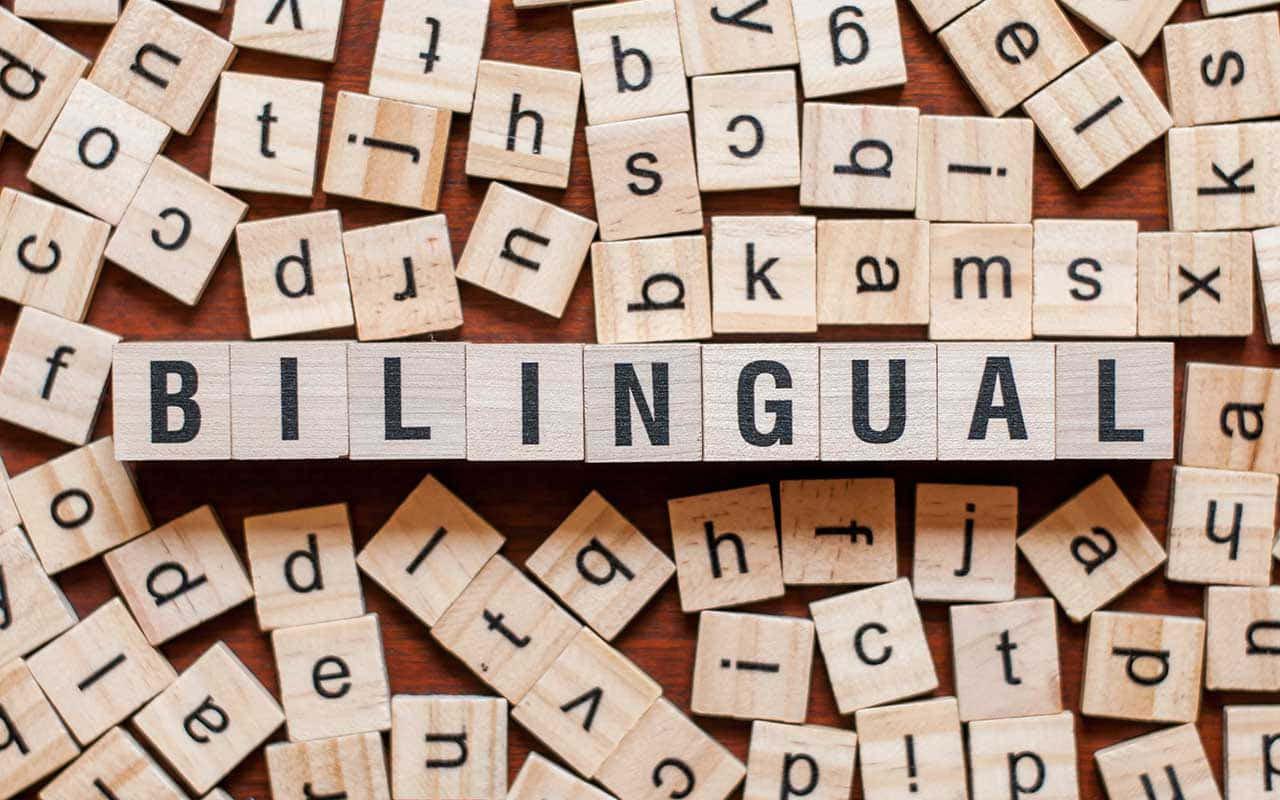 Bilingual Scrabble Words Wallpaper