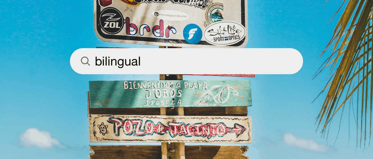 Bilingual Search Bar 2 Wallpaper
