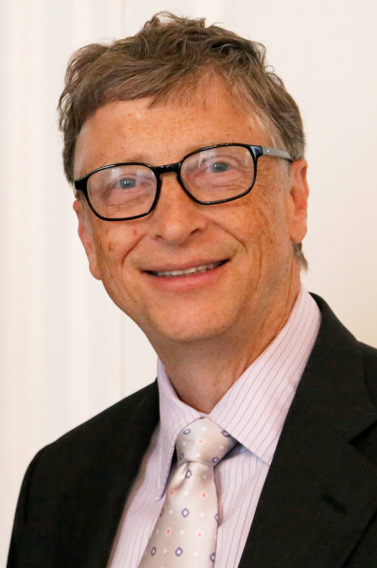 Bill Gates Software Developer