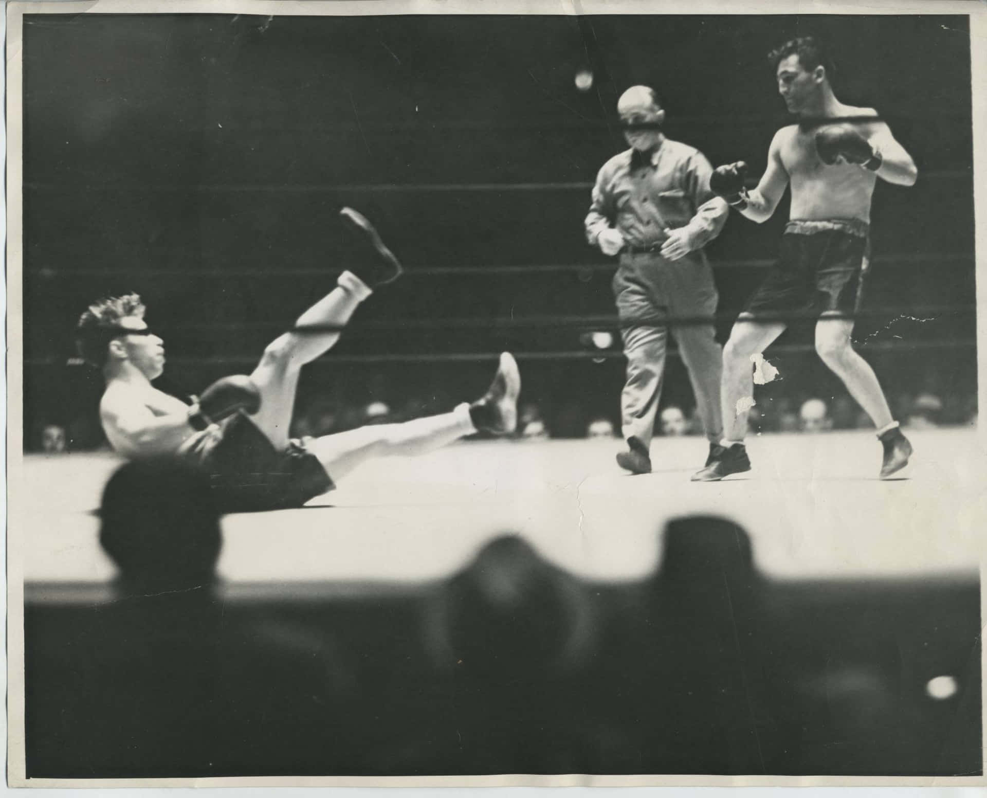 Billy Petrolle og Jimmy McLarnin 1930 kampscene tapet Wallpaper