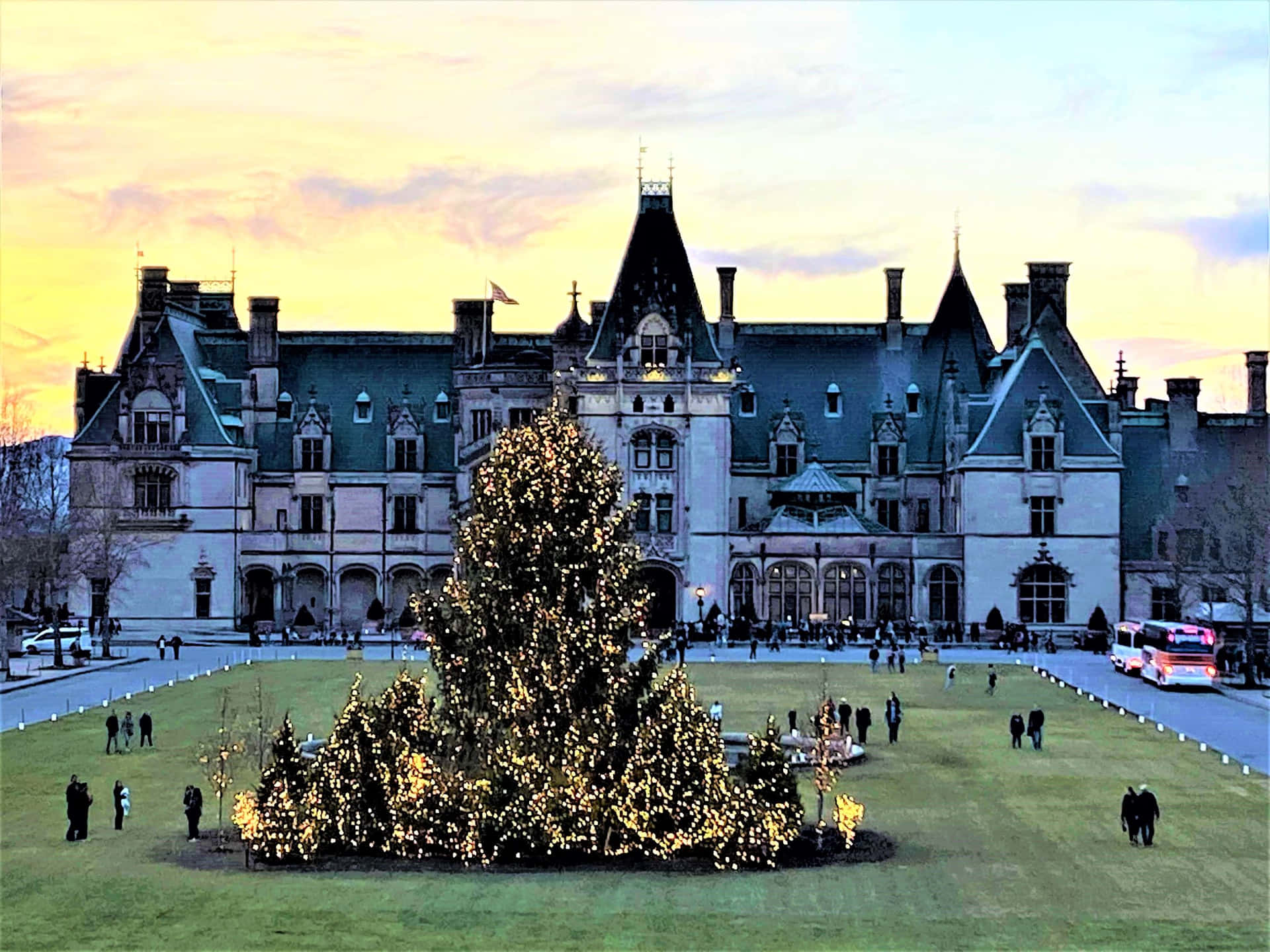 Biltmore Christmas Tree In Front Of A Castle