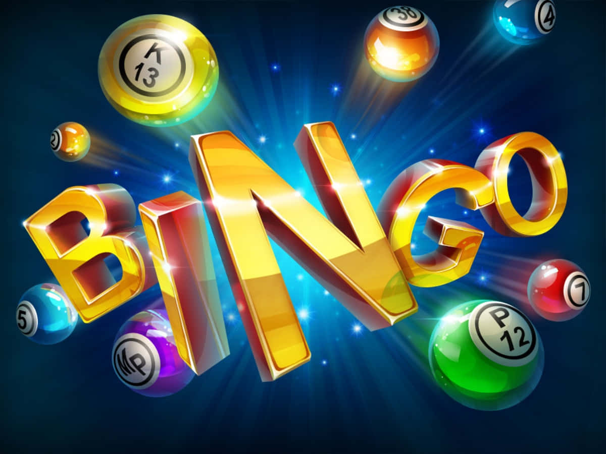 Bingo1200 X 900 Bild