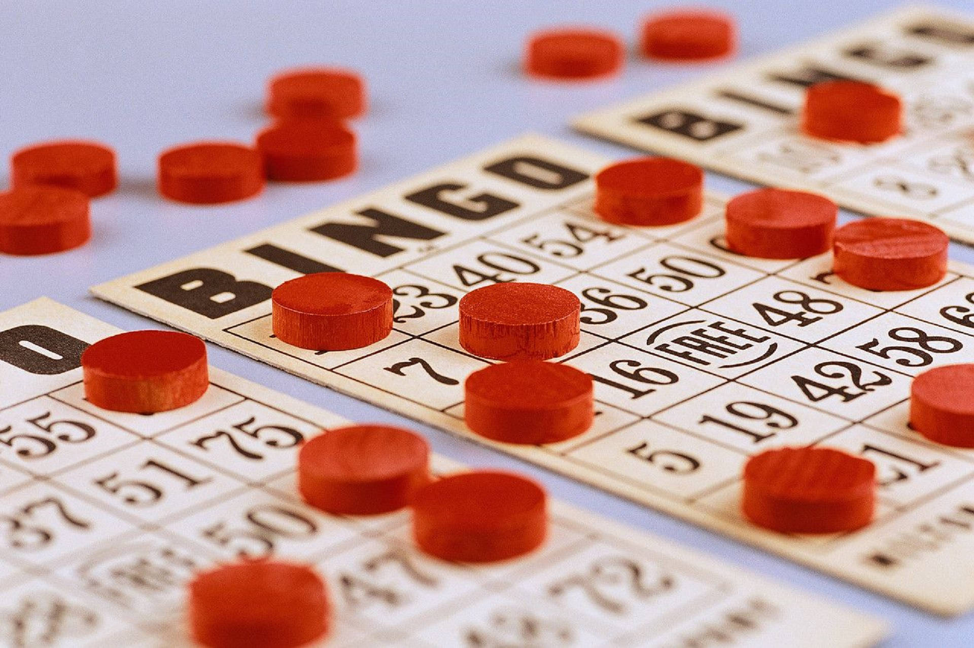 Does Bingo Jackpot Pay Real Money