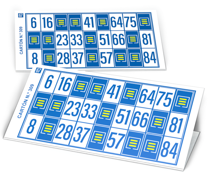 Bingo Cards Double Set PNG