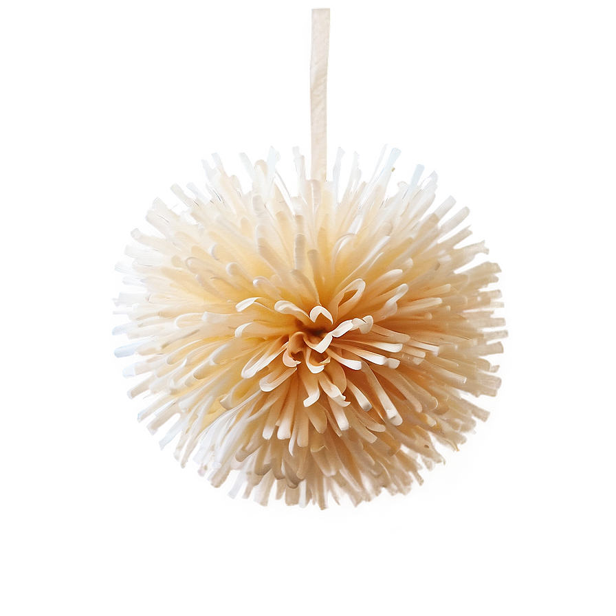 Biodegradable Pom Poms Png 06132024 PNG