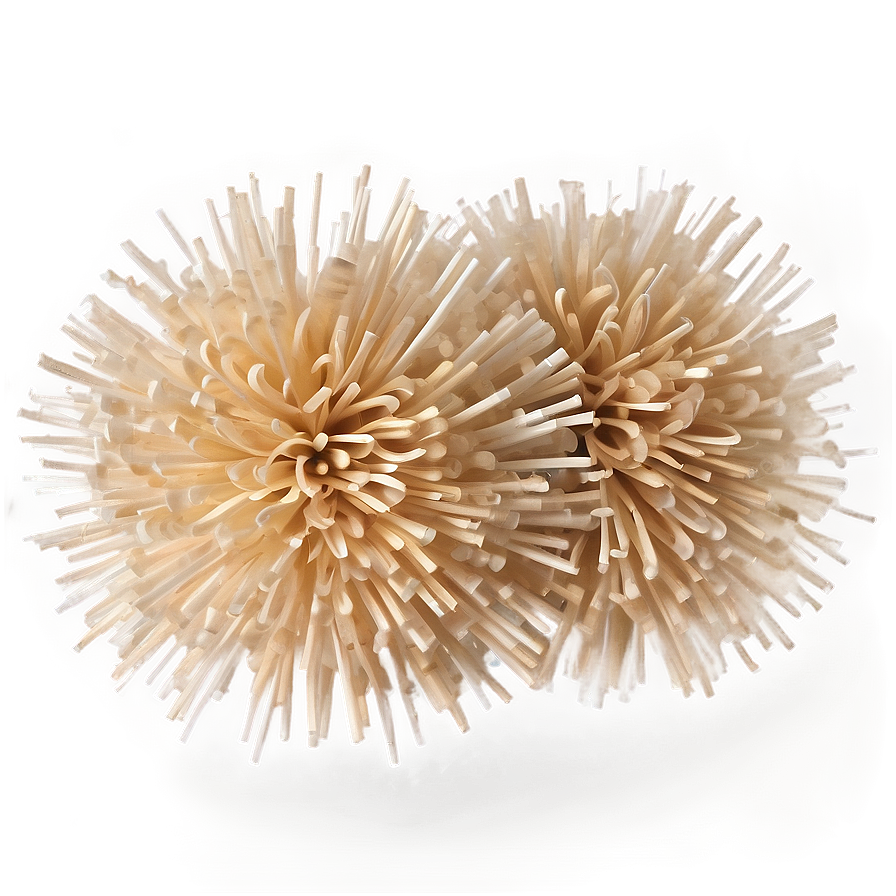 Biodegradable Pom Poms Png 68 PNG