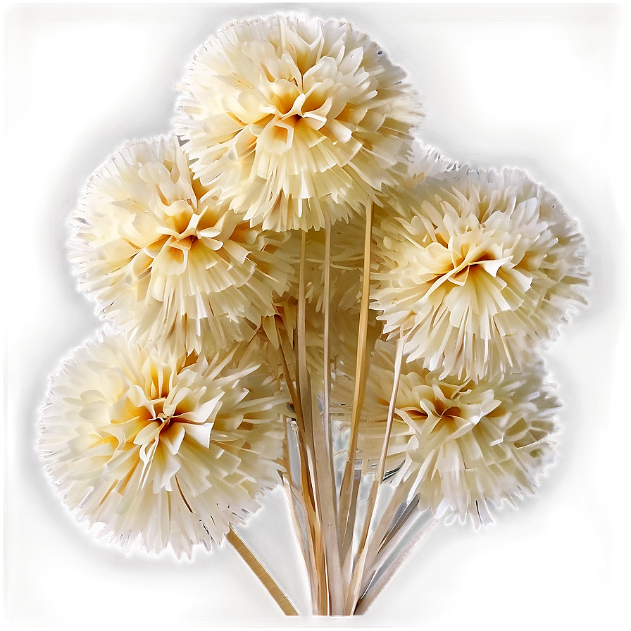 Biodegradable Pom Poms Png Ale PNG