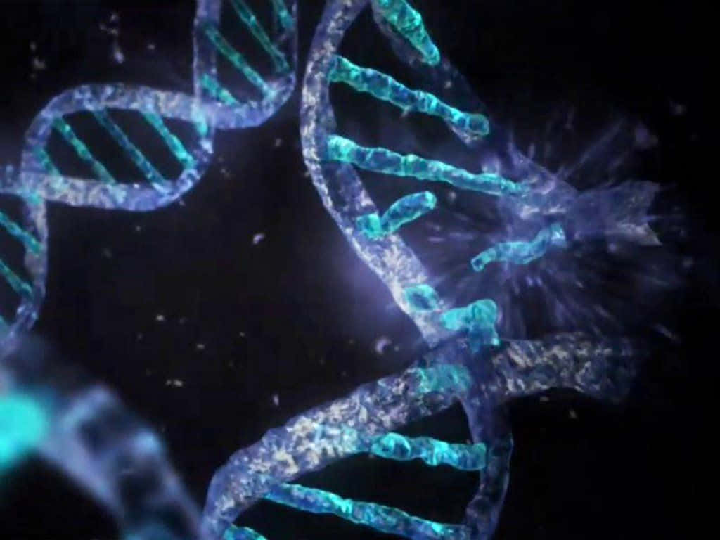Dazzling DNA Strang Biology Picture