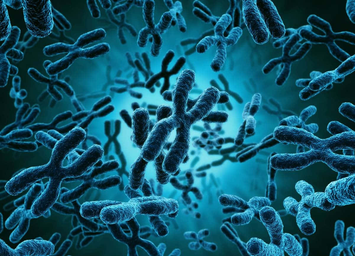 Immaginedi Biologia Con Cromosomi Blu