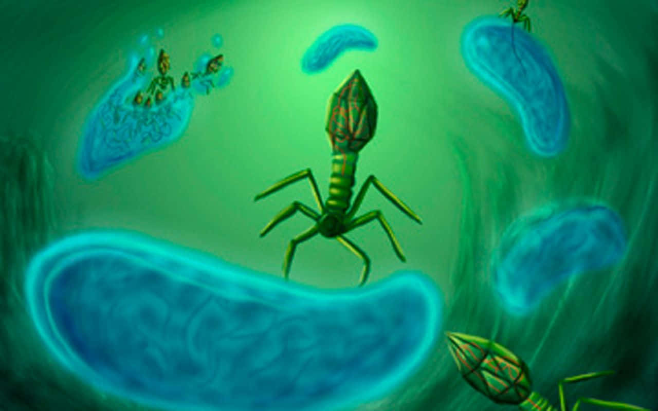 Imagende Biología Con Hormigas Y Células Azules.