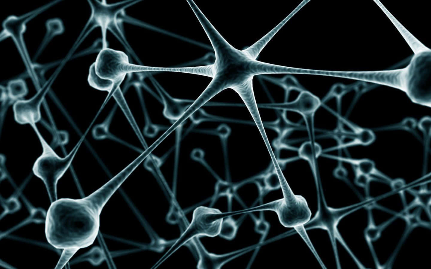 Imagende Una Neurona En Blanco Y Negro De Biología.