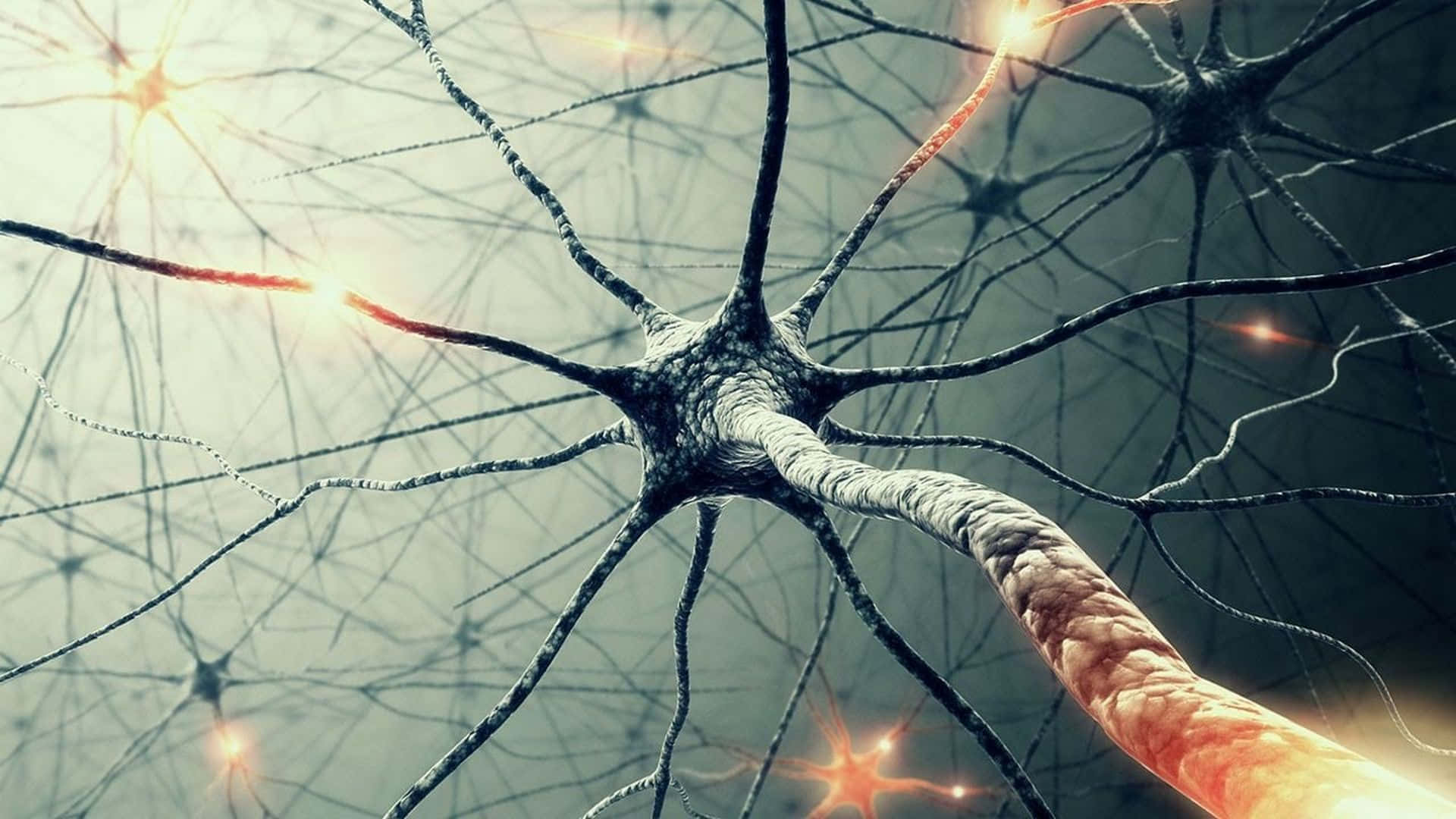 Immaginedi Biologia Di Un Neurone Con Luci.