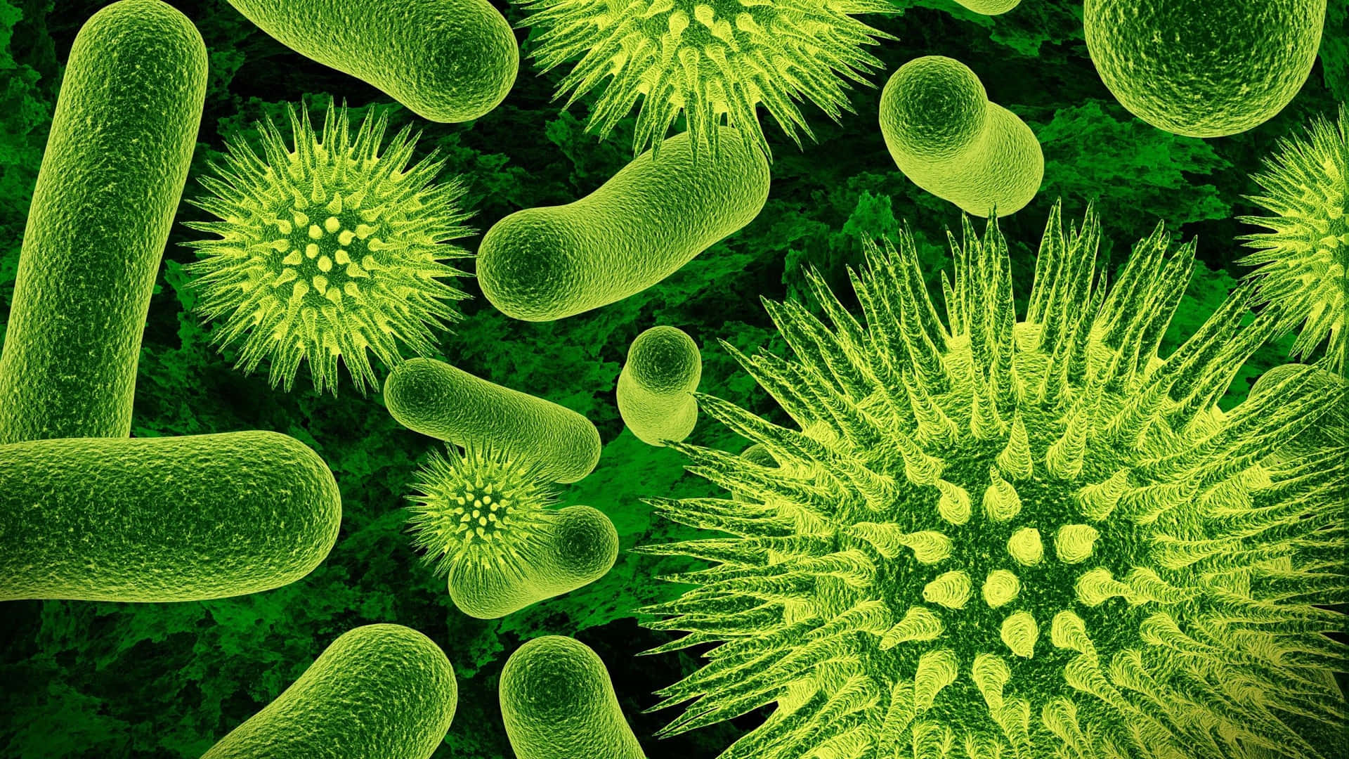 Bakterieroch Virus Biologibild