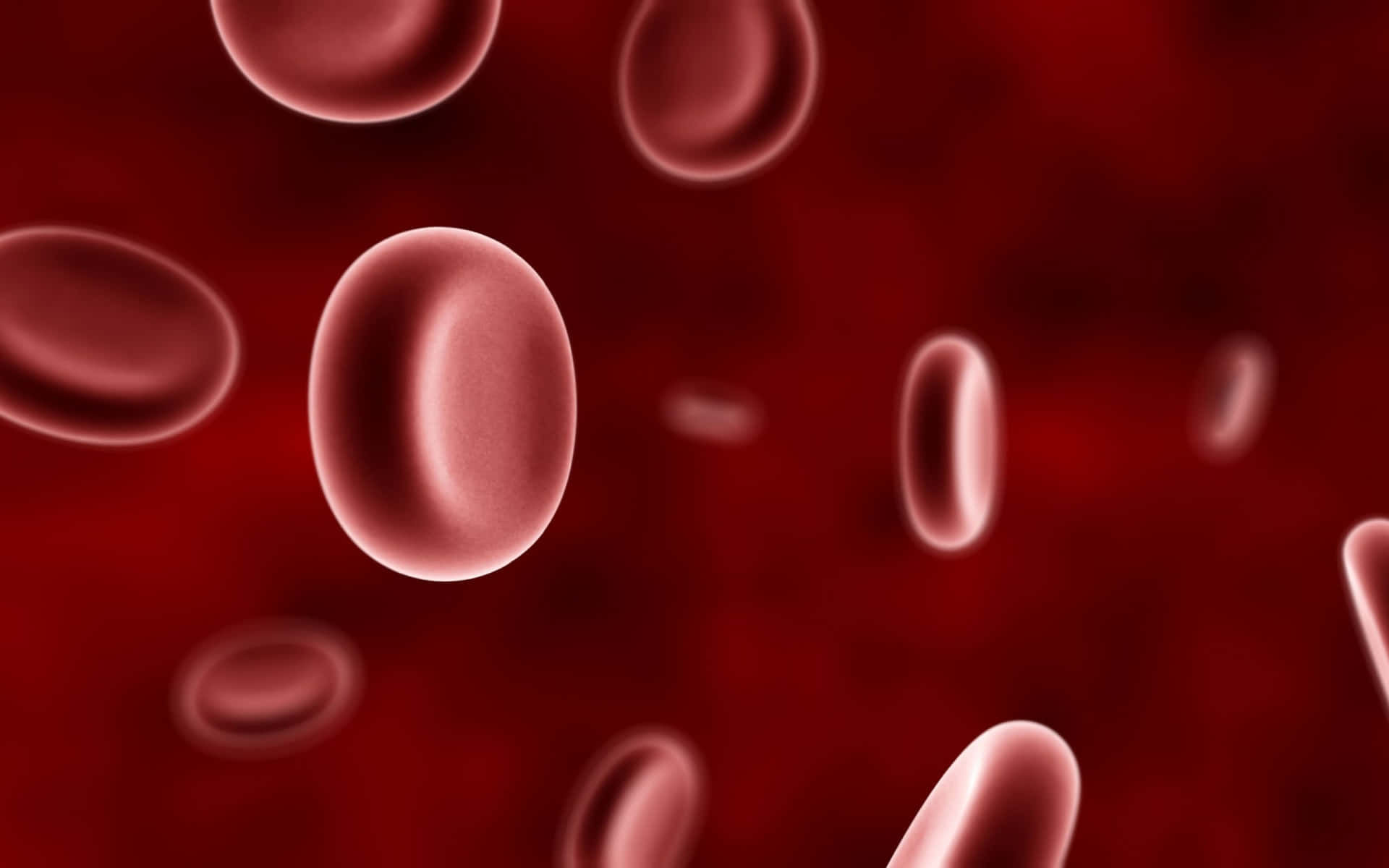 Imagende Biología De Células Rojas De La Sangre