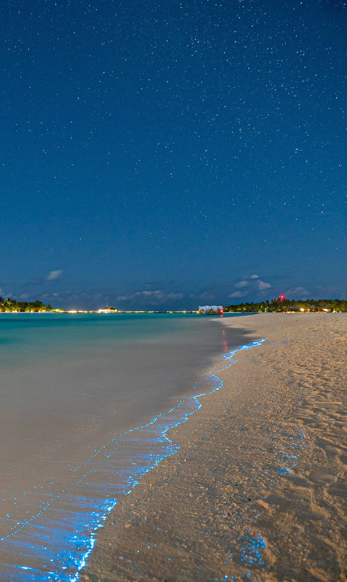 Bioluminescent Beach Wave iPhone Wallpaper