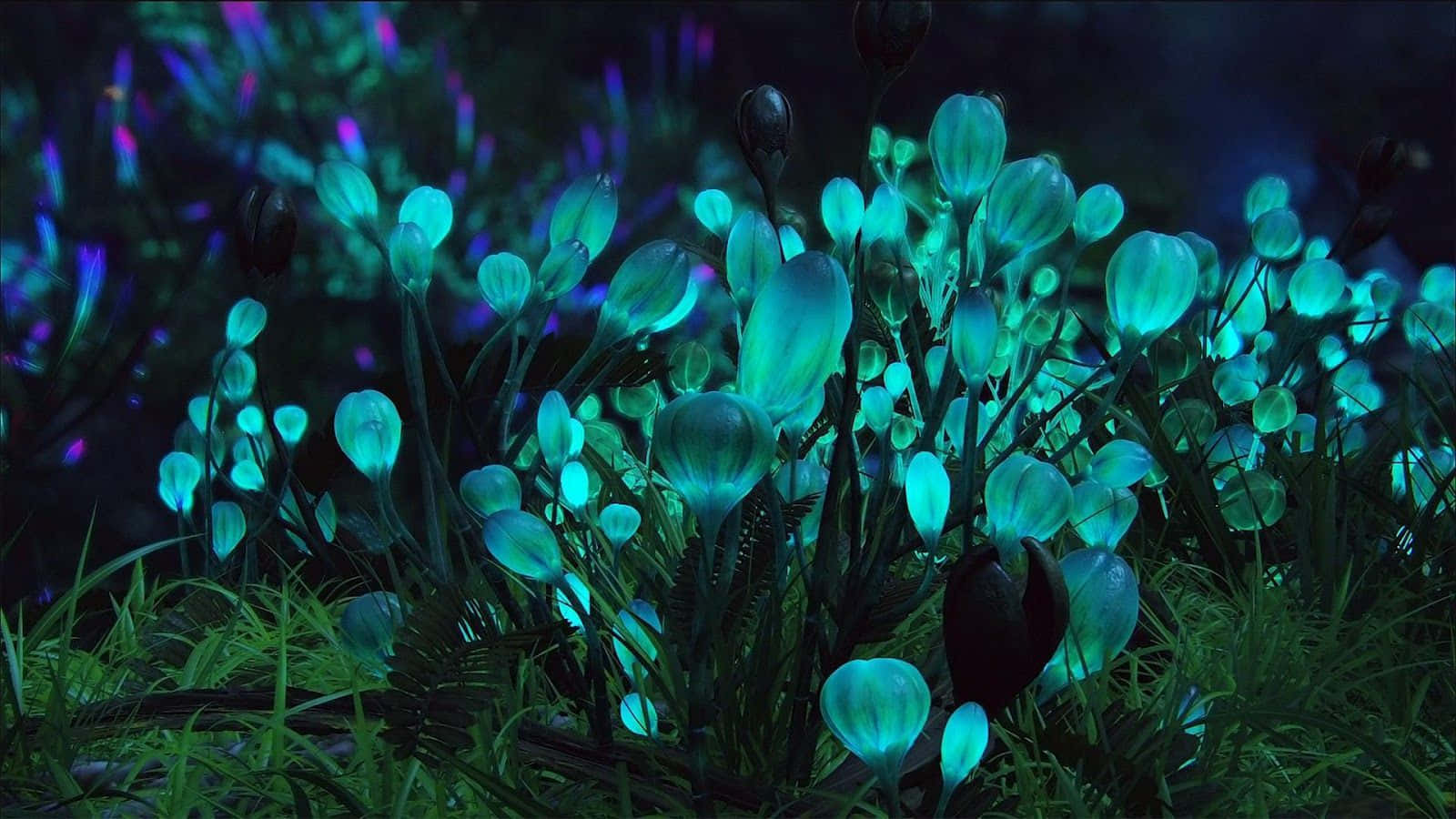 Bioluminescent Shrubs In The Movie Avatar Background