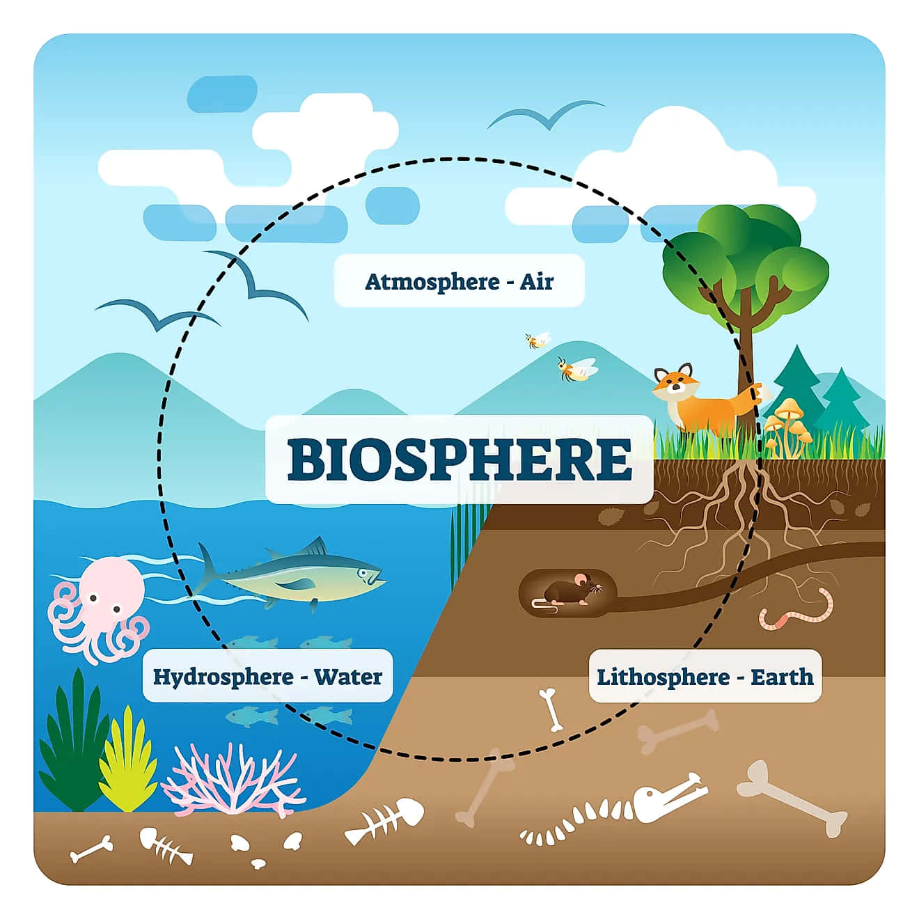 Atractivaperspectiva De La Biosfera