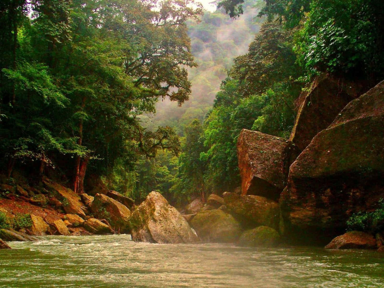 A River In The Jungle With Rocks And Trees