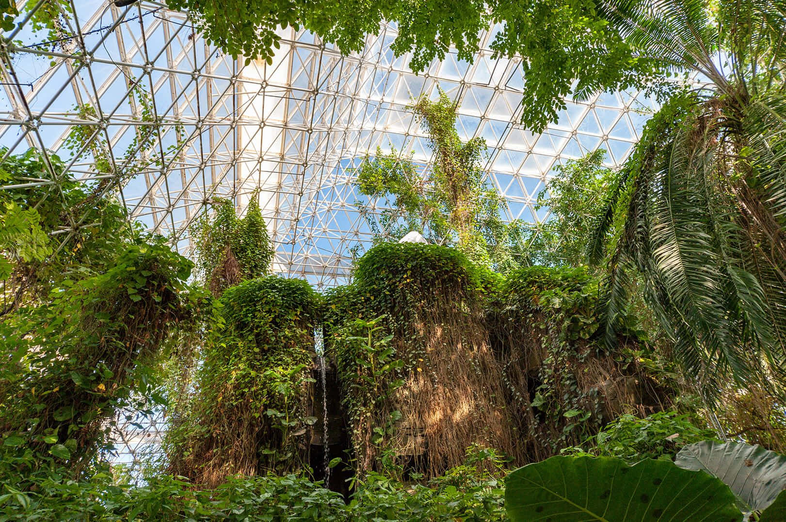 A Glass Dome With Plants And Trees Inside