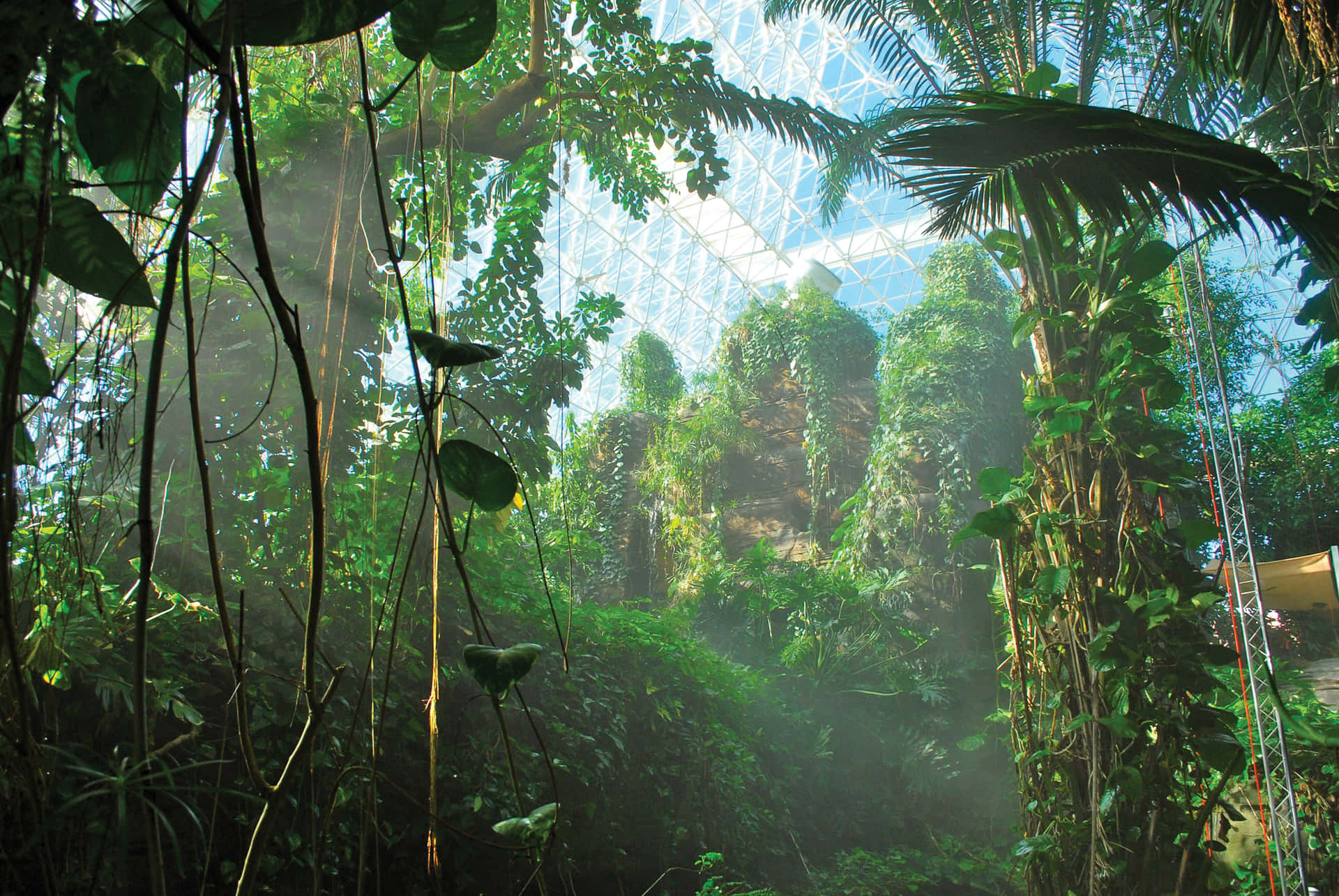Envärld Av Ekosystem Inuti Biosfären.