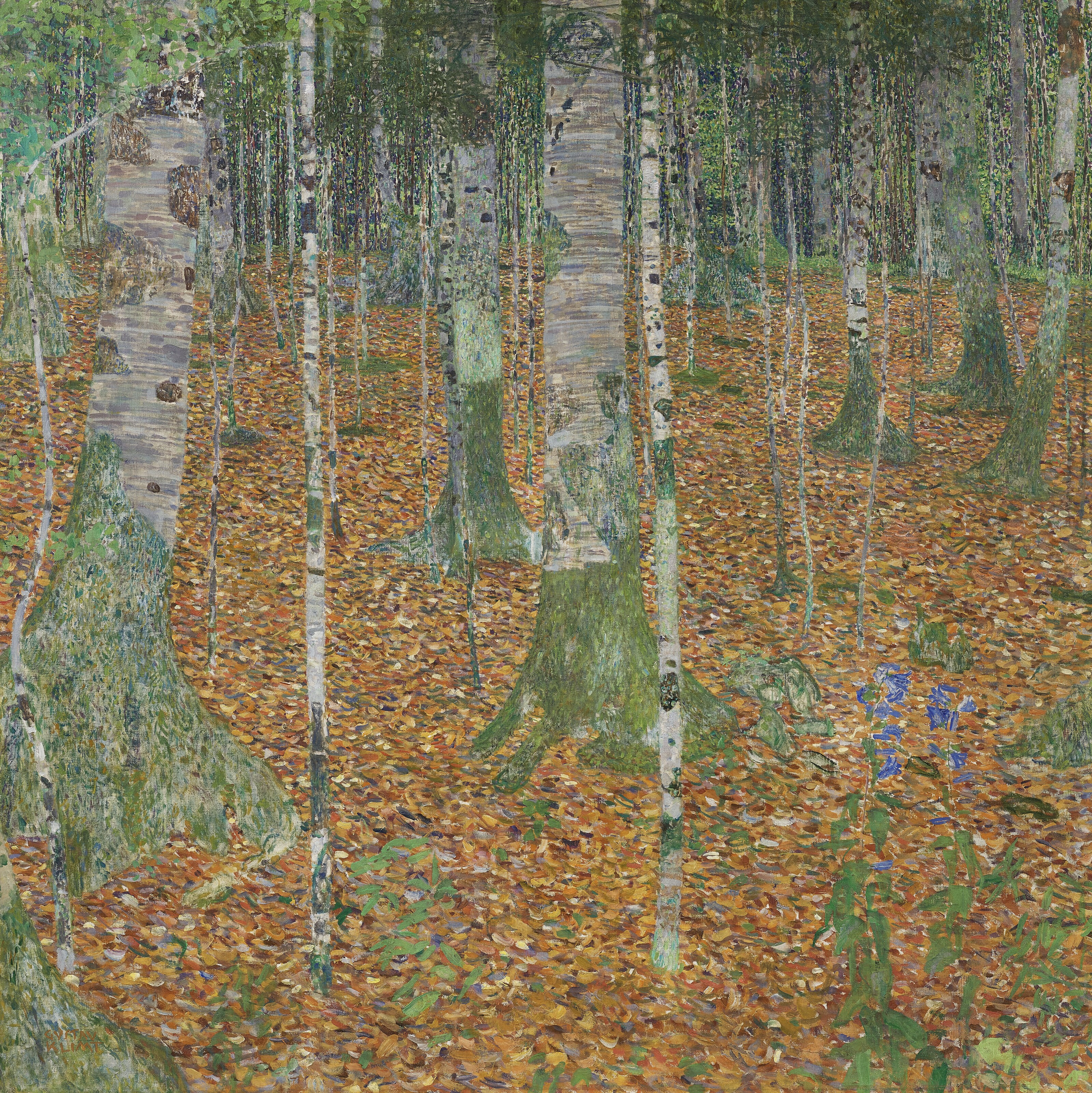 Birch Forest Wallpaper