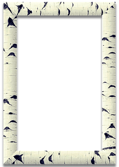 Birch Frame Black Center PNG