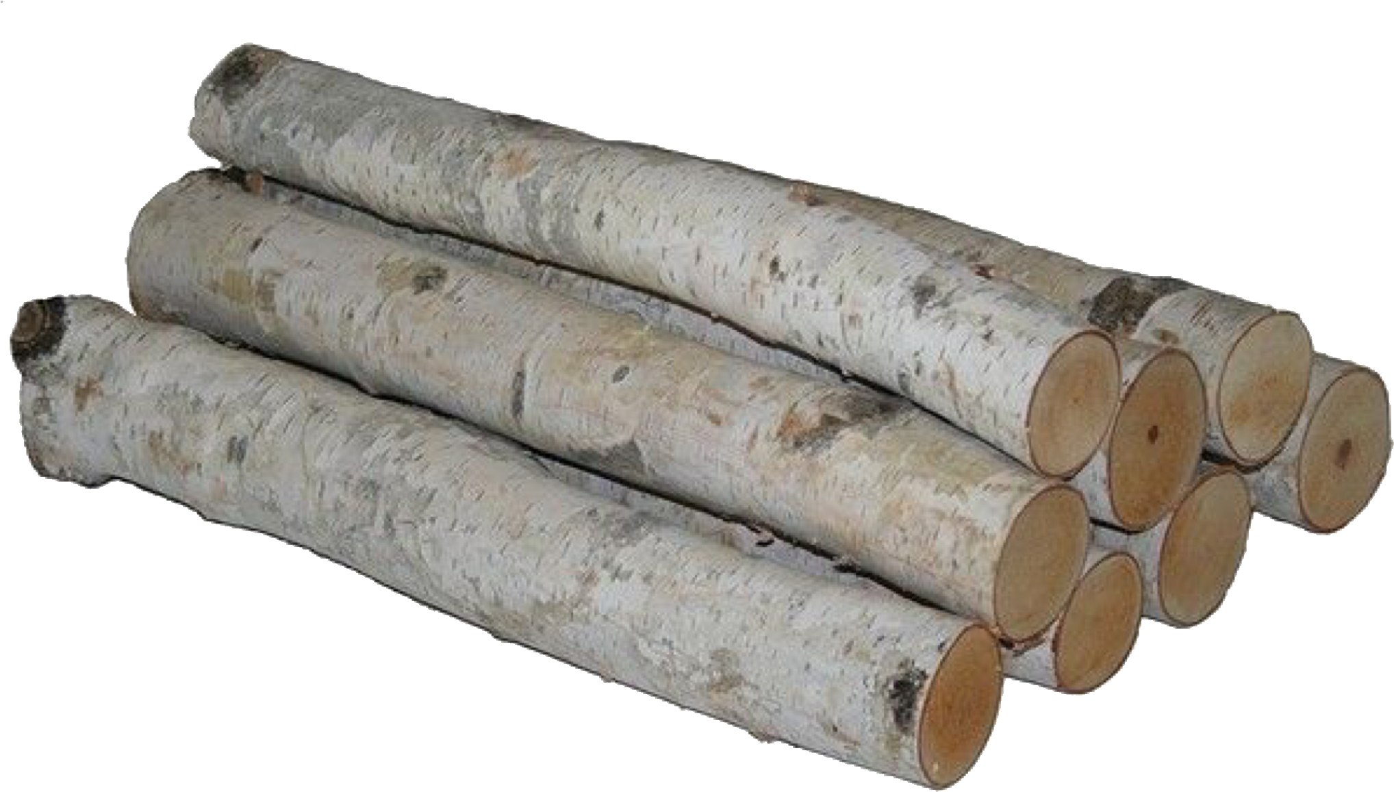 Birch Logs Isolated Background PNG