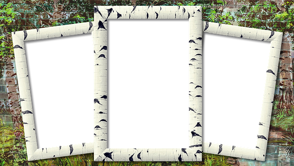 Birch Triptych Frames Garden Background PNG