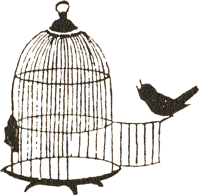Bird Escaping Cage Illustration PNG