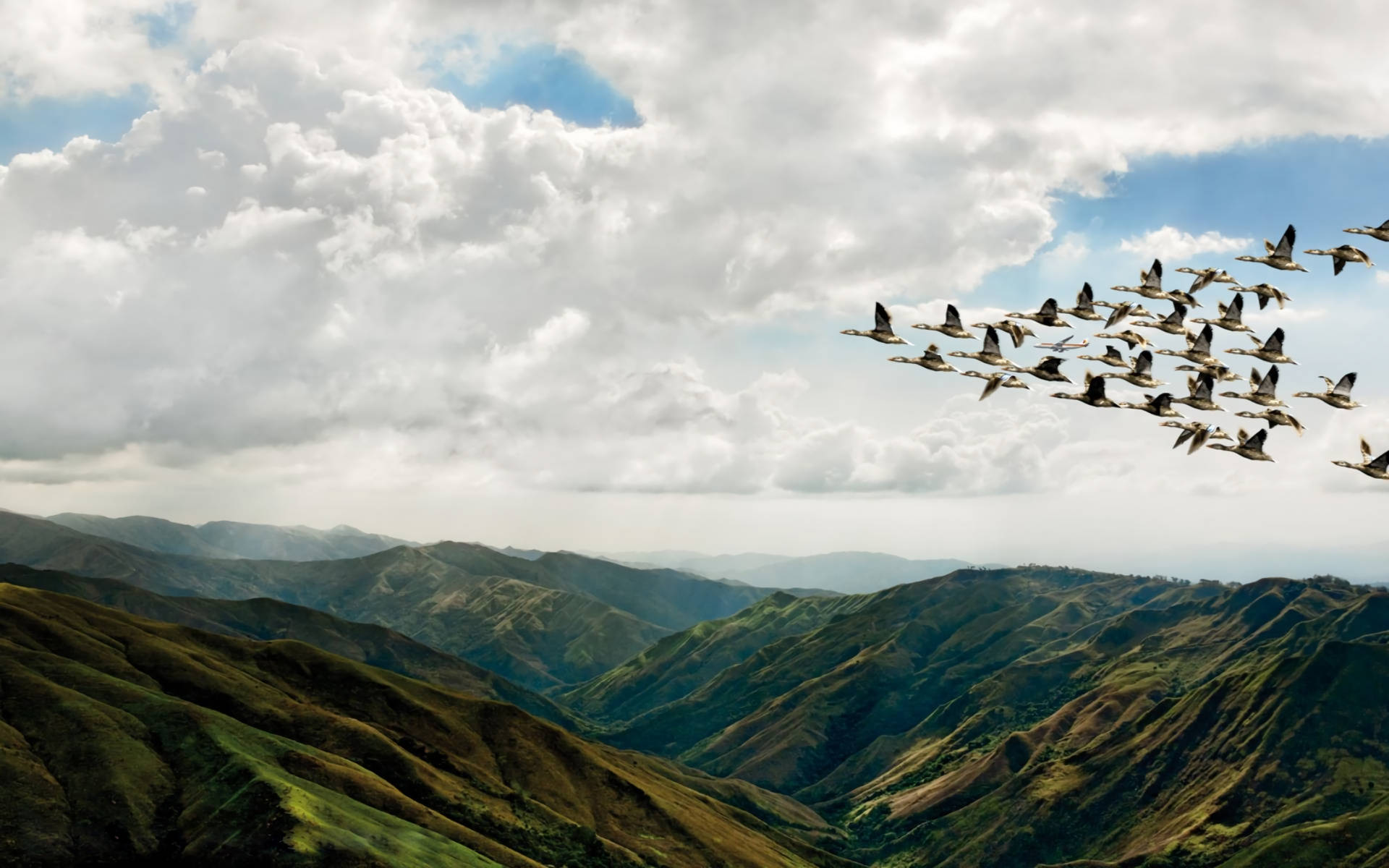 Bandadade Pájaros Sobre Montañas En Alta Definición Fondo de pantalla