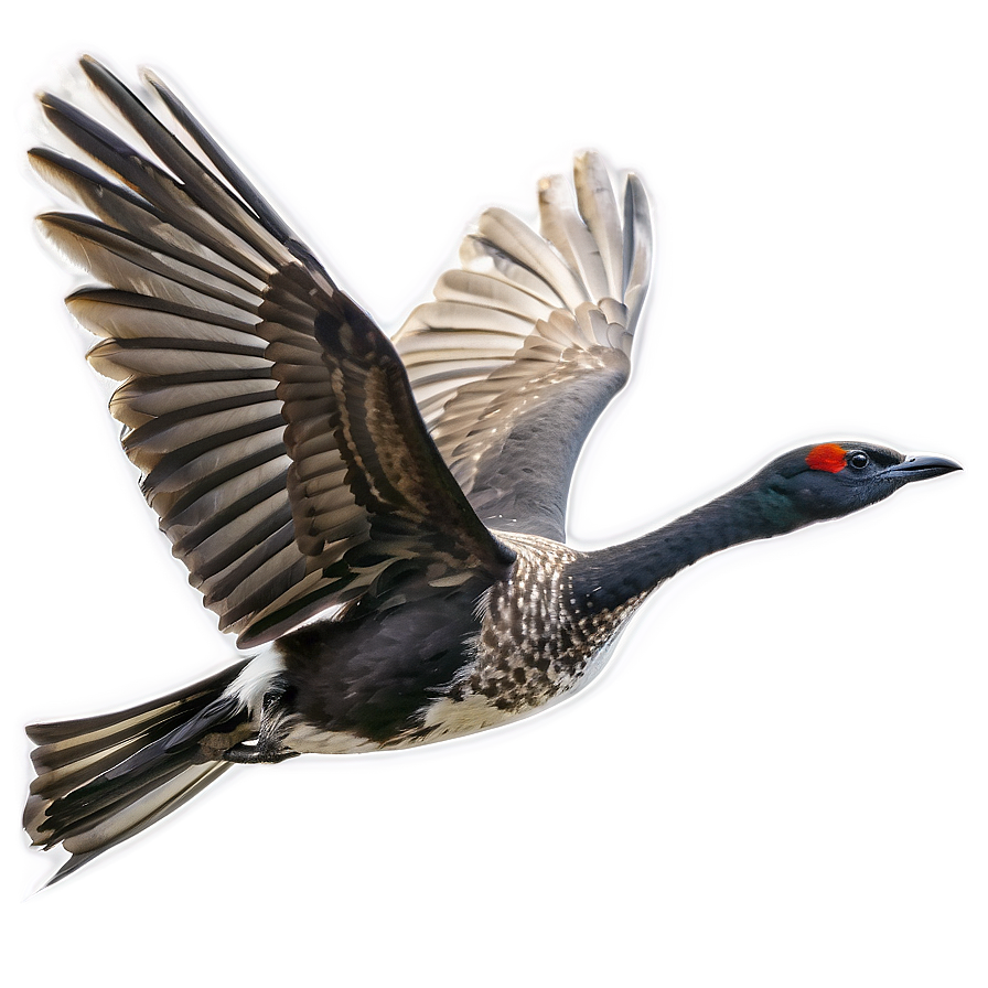 Bird Flying C PNG