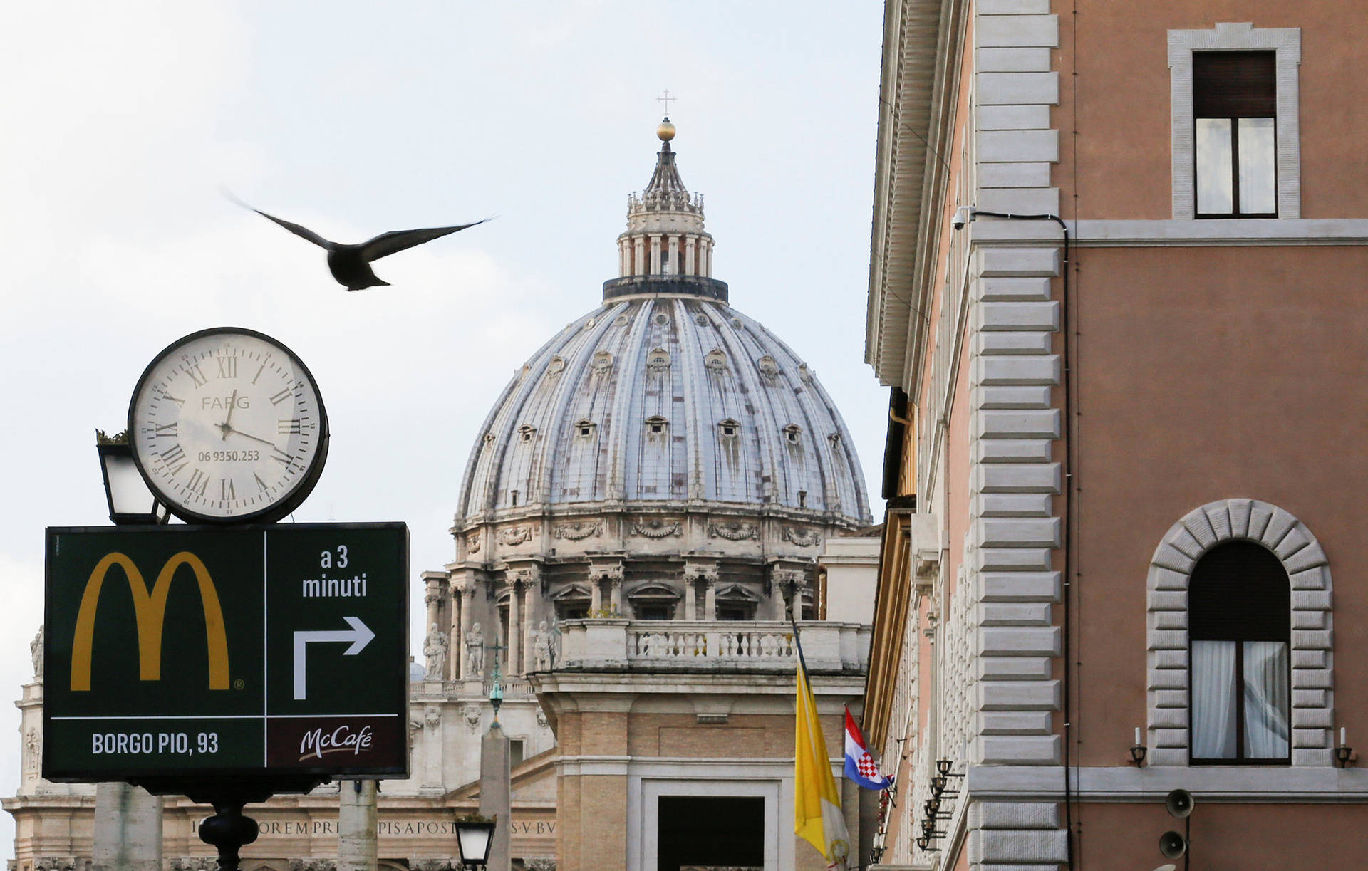 Bird Flying In Vatican Wallpaper