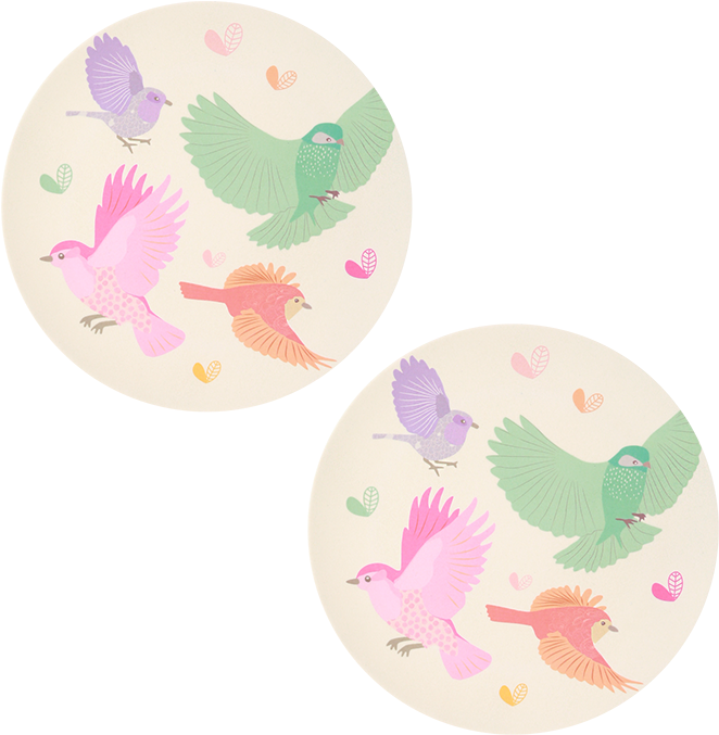 Bird Illustrated Paper Plates PNG