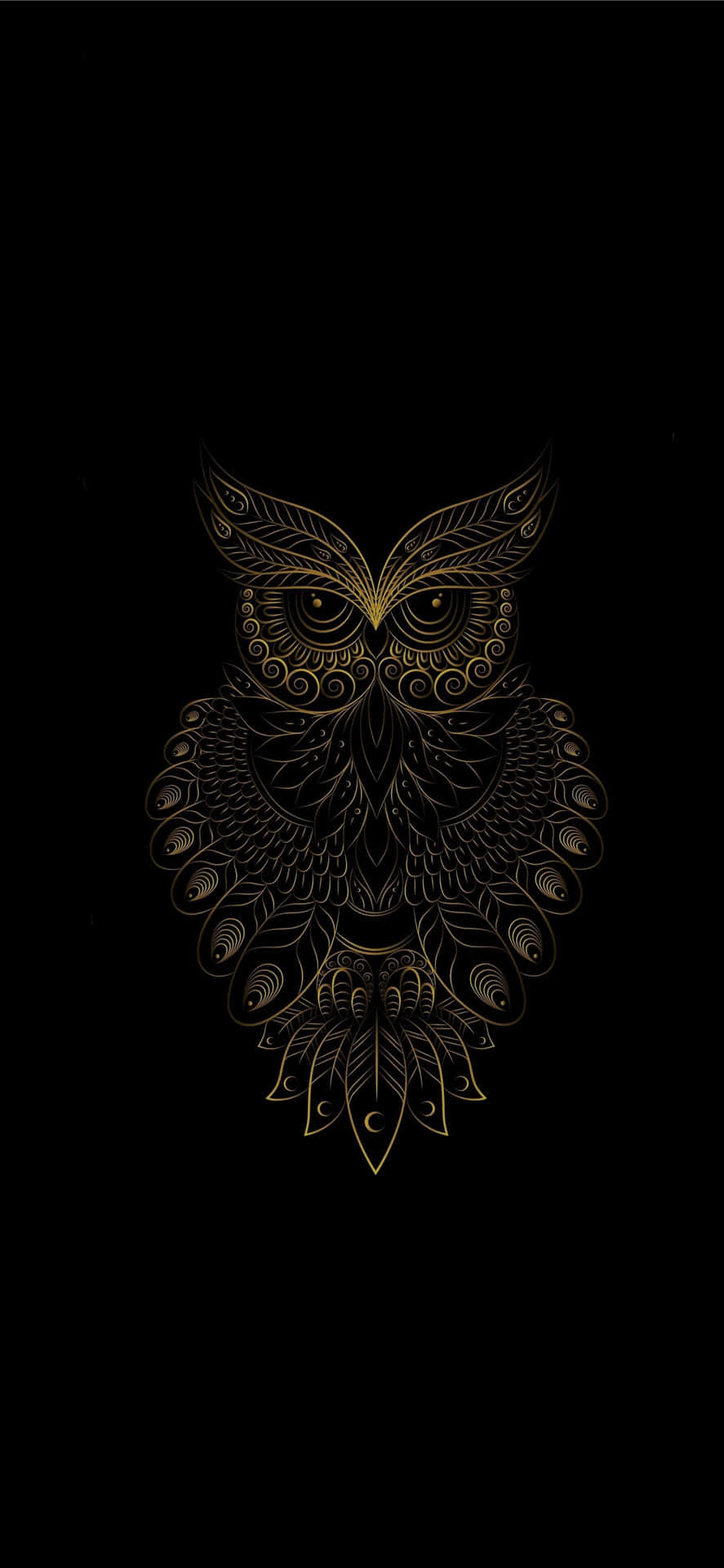 Owl Bird Iphone Art On Black Background Wallpaper