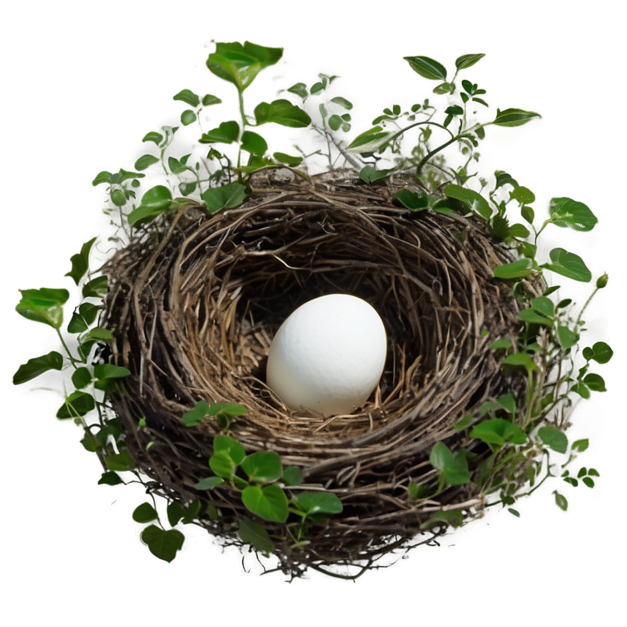 Bird Nest In Foliage Png Cye61 PNG