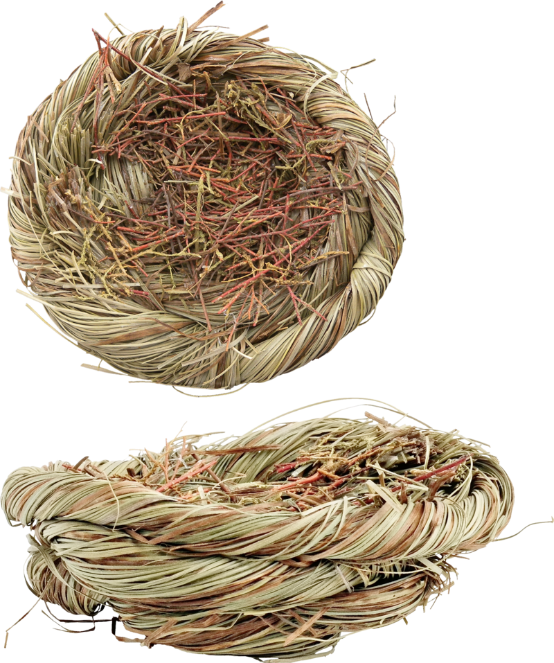 Bird Nest Twigs Top Side View PNG