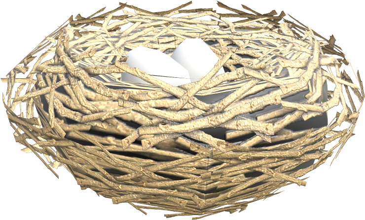 Bird Nest With Eggs3 D Render PNG