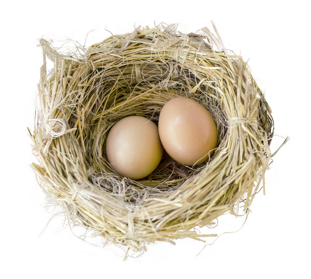 Bird Nestwith Two Eggs PNG