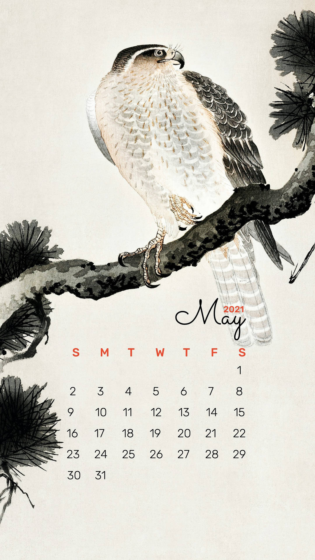 Bird Painting May Calendar 2021