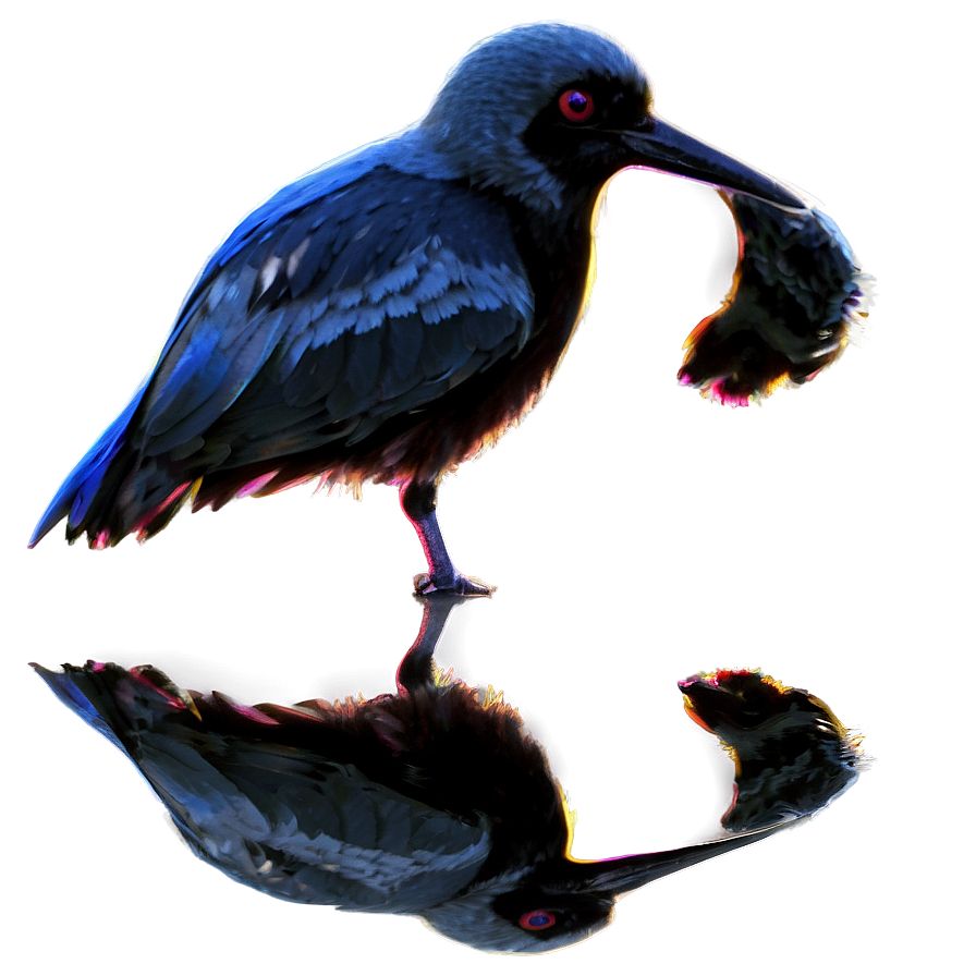 Bird Reflection Png Xgj53 PNG