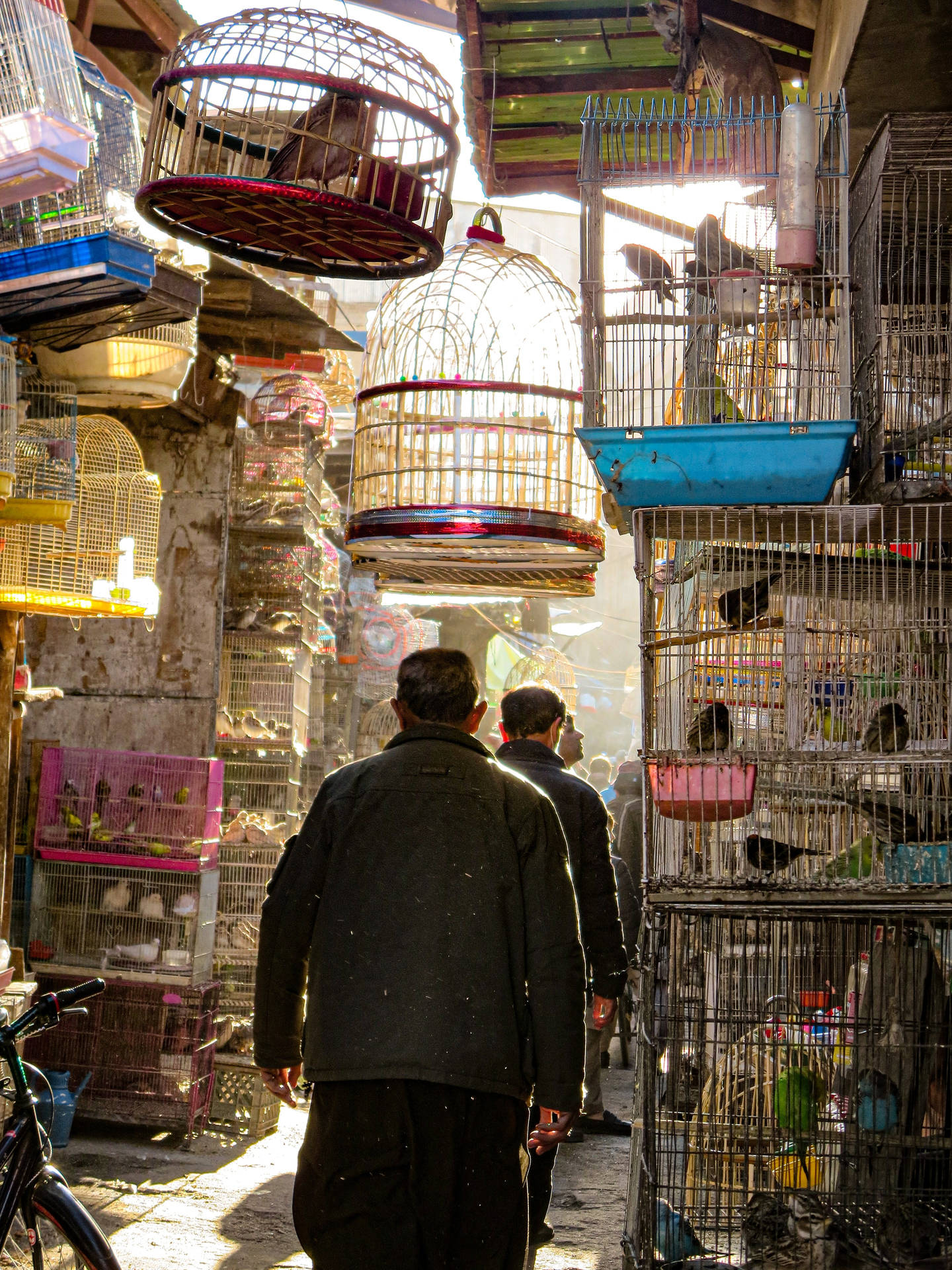 Bird's Market Kabul