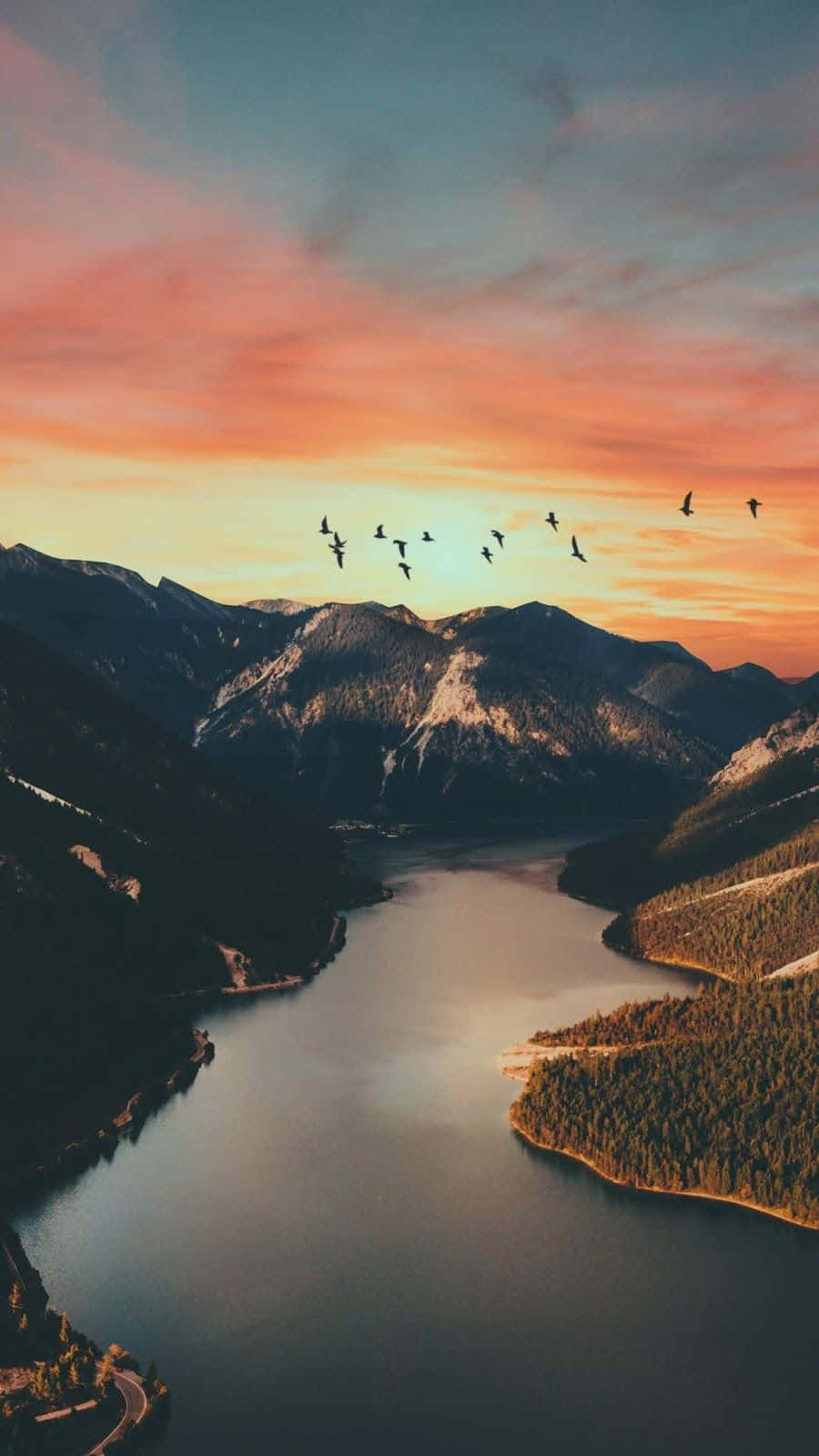 Vogelsilhouettebei Sonnenuntergang Auf Den Bergen. Wallpaper