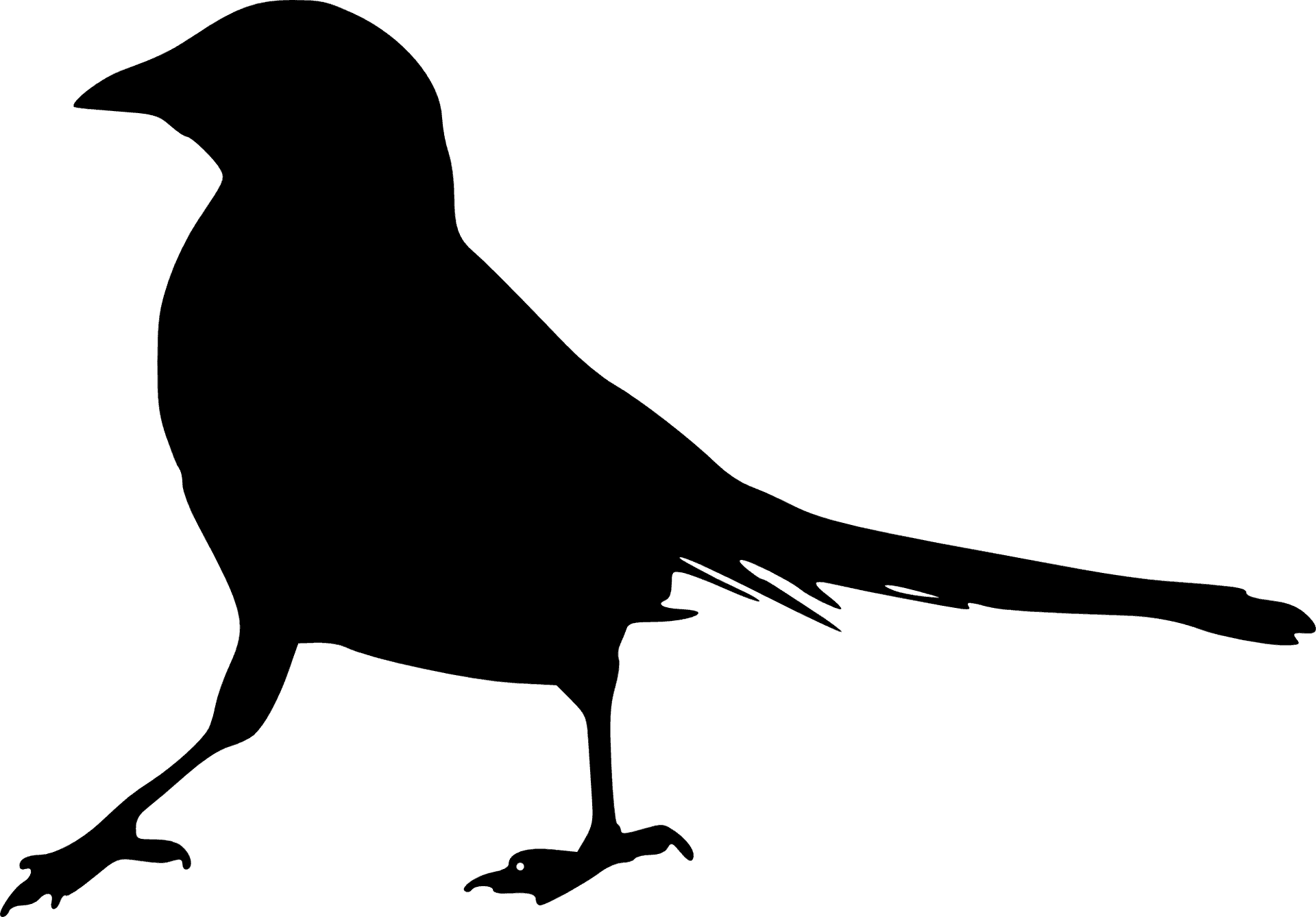Bird Silhouette Profile PNG