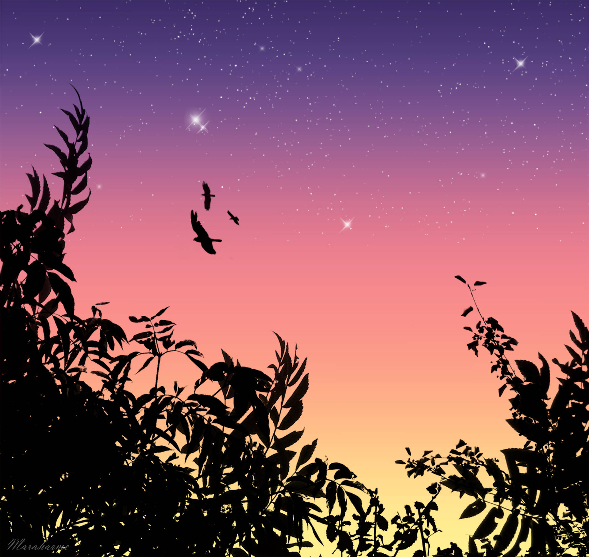 Bird Silhouettes In Sunset