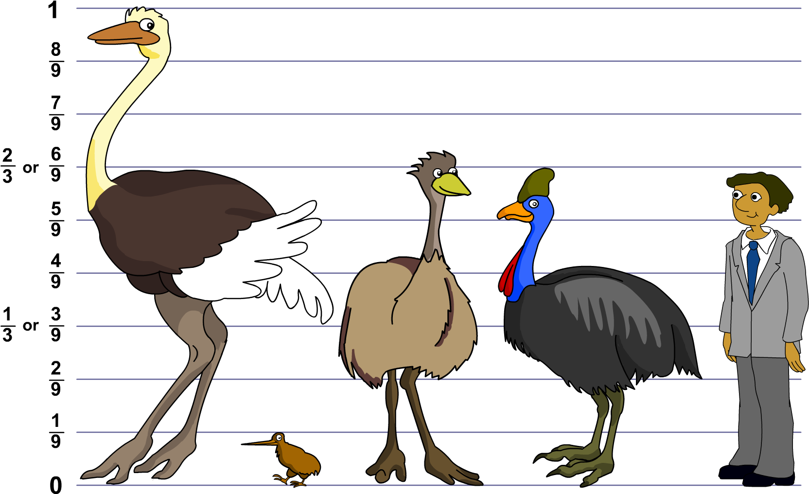 Bird Size Comparison Chart PNG